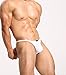 BRAVE PERSON A1164 Sexy Thong Low Waist Men G-String Swimwear T-back (L / 30''-34'', 5 colors mixed)
