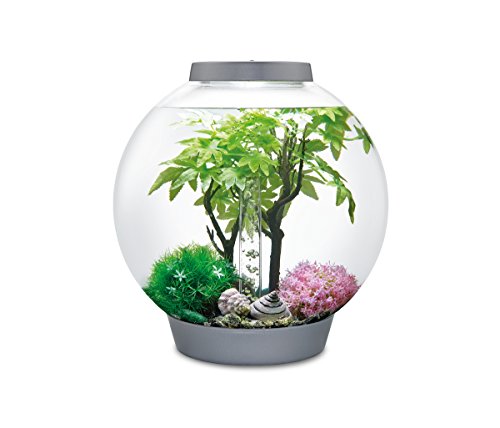 Biorb Decor Set 30L Summer Medium #TOP1
