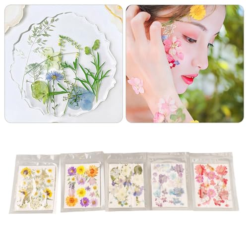 5 bolsas de flores prensadas secas para manualidades miniatura 4