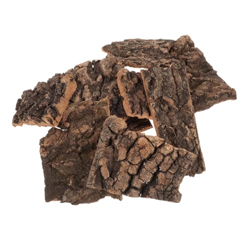 Toddmomy Lot de 10 Écorces de Liège Ecorce de liège pour Terrarium d'escalade et Naturelles pour Reptiles Décoration en d'arbre pour Tortues et Lézards