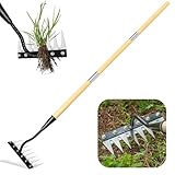 Iron Weeding Rake with Handle 2.0