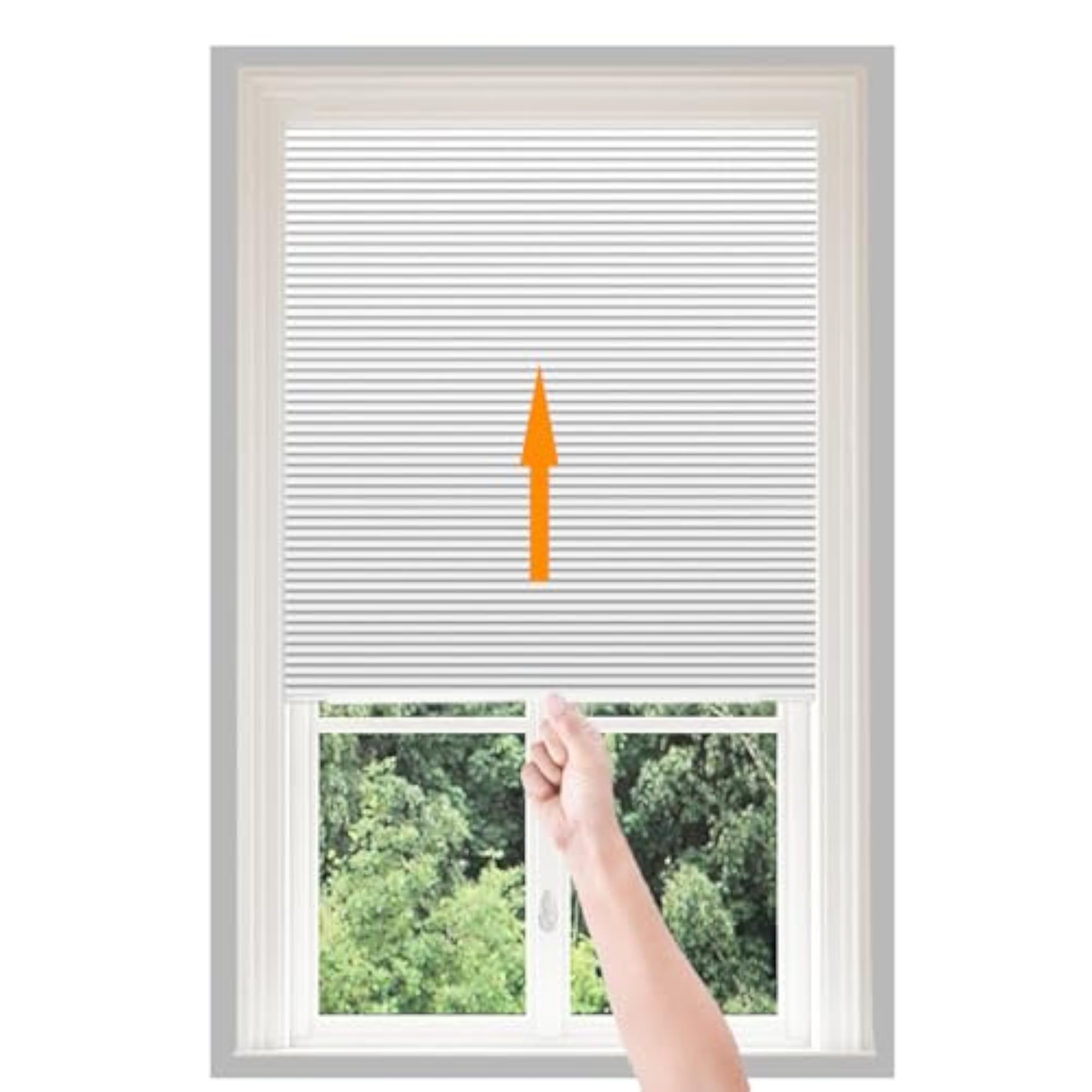 Window Blinds Pull Down No Drilling Non Woven Blinds
