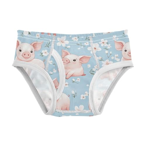 Wusikd Cartoon Pig Flowers Boys' Underwear Cotton Watercolor Boys Briefs Soft Toddler Underwear 2T