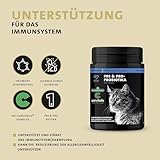 Peticare Katzen Präbiotika & Probiotika | Immunsystem stärken, Darmsanierung, Darmflora aufbauen | lindert Allergie-Anfälligkeit & Juckreiz | mit innovativem Corvitalis® Komplex - petCat Health 3501