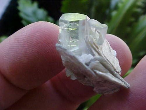 B4822 Gemqz Aquamarine & Muscovite Mini Cluster Nice !!!