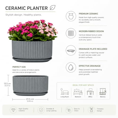 Image of Xtore Refined Ribbed Oval Planter Pot with Drain Tray for Indoor & Outdoor Plants | Minimal Modern Flower Pot (Grey, 23.5 cm) (Planter only)