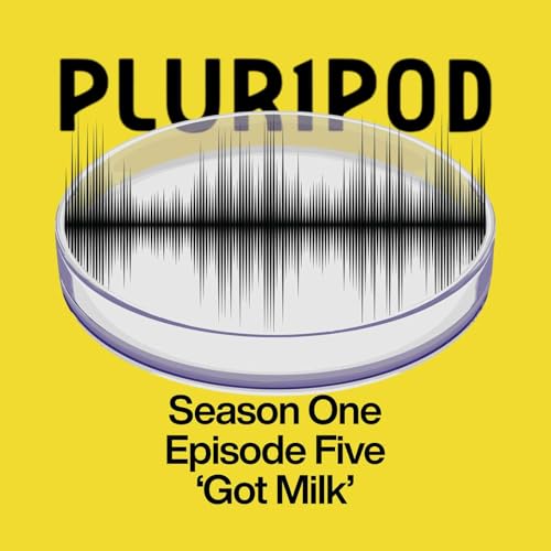 Pluripod S01E05 - 'Got Milk'