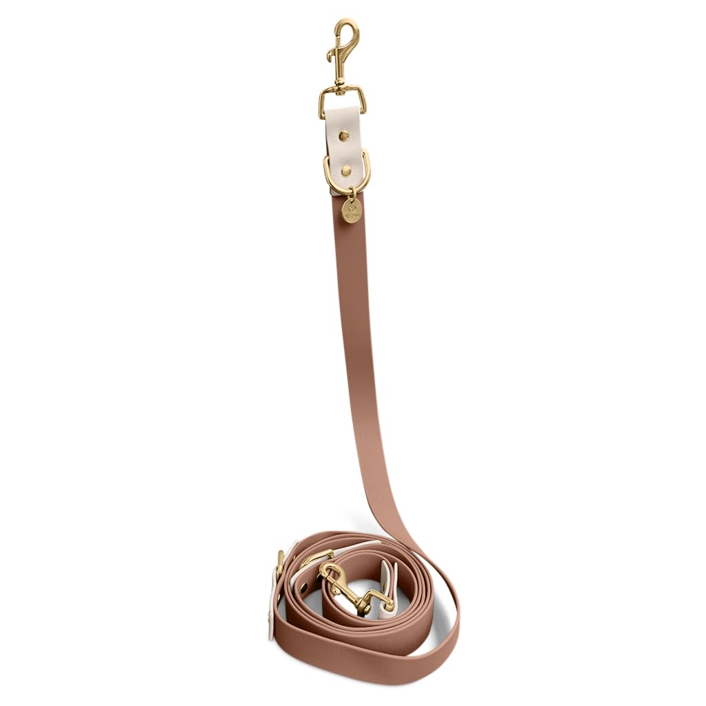 Guinzaglio per cani in Biothane, Made in Germany, 2 moschettoni e regolazione a 3 vie, guinzaglio da trazione, guinzaglio da corsa per cani accessori formazione (M-L, mocca/mousse)