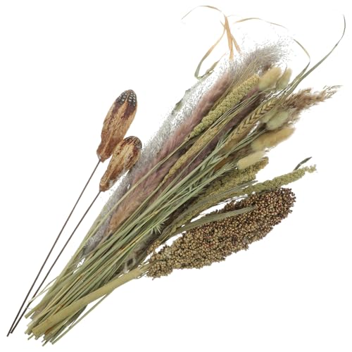 Ramo natural de pasto pampas seco decorativo Boho miniatura 1