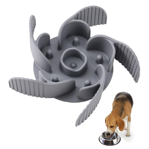 Amazon Best Sellers Best Dog Slow Feeders
