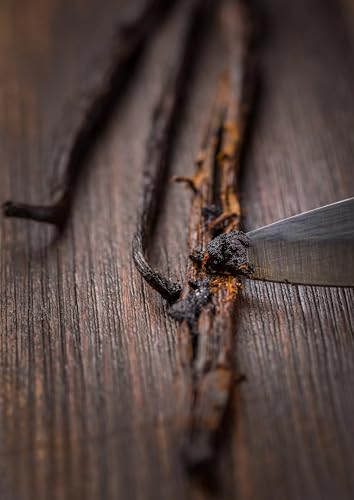 Foto von RUF Gourmet Vanille Schote, Vanilla Tahitensis, echte Vanilleschote zum Backen und Kochen , feine Vanille-Note für Desserts und Getränken, glutenfrei, vegan, 1 Schote (1 x 2,5g)
