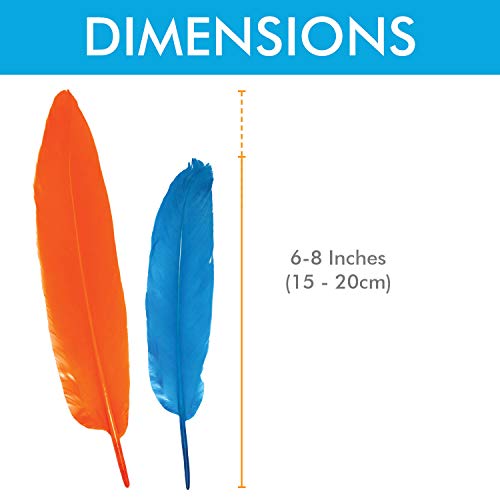 120Pcs Colorful Goose Feathers For Diy Crafts, Jewelry Making, Wedding, Home Or Party Decorations, 12 Colors (6-8 Inches) #TOP2