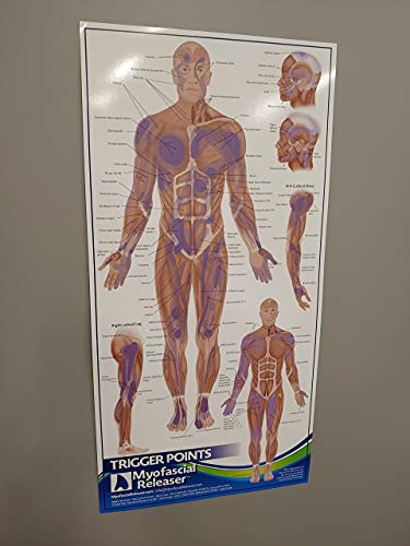 Trigger Point Anatomy Map - Office Wall Poster for Reference by Massage Therapists, Physical Therapists, Chiropractors, Trainers - Pressure Point and Referred Pain Map