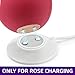 Rose Replacement Charger, 12mm Magnetic Standing Dock Station Fast Charging USB Cable for Rose Only -2.5Ft