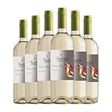 Viña Ventisquero Fuego Austral Sauvignon Blanca Valle Central 75 cl Vino blanco (Caja de 6 Botellas de 75 cl)