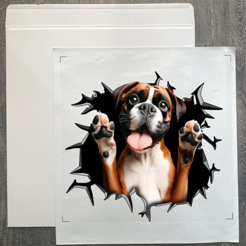 Image of Cute Dog Stickers for Car Window Decals Waterproof Funny Sticker (Boxer Stickers)
