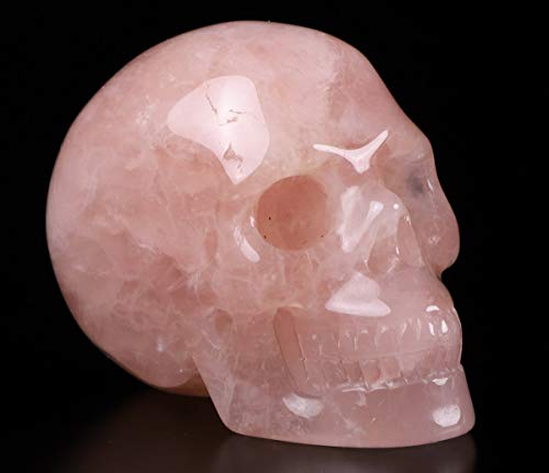 Calavera de Cuarzo Rosa Tallada 2.0" Escultura de Arte miniatura 3