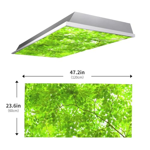 Image of 2 Pack Fluorescent Light Cover for Ceiling Light Classroom- Tender Green Magnetic Light Cover Fluorescent Light Shade Panel, Decorative Film Filter for Reducing Harsh Glare Flicker Home Decorations
