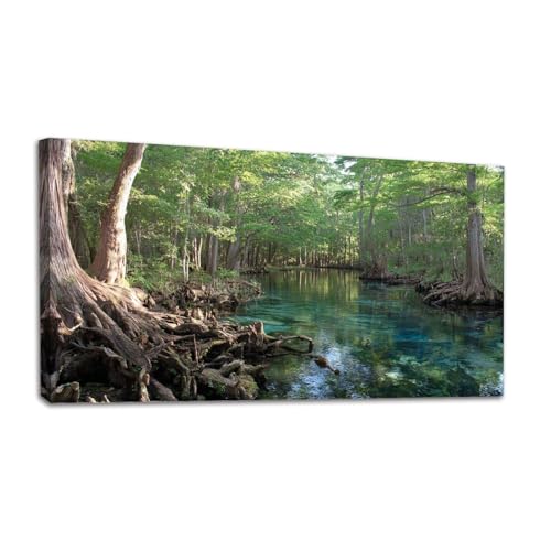 20"x 40" Canvas Wall Art Florida Fresh Water Springs Cypress