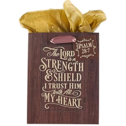 Christian Art Gifts Medium Gift Bag Set Cover