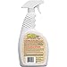 Earthworm Carpet & Upholstery Cleaner Spot & Stain Remover - Natural Enzymes, Safer for Family, Environmentally Responsible - 22 oz