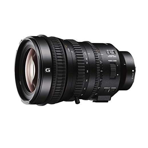 Sony 18-110mm f/4 Power Zoom Lens