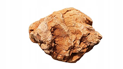 Generic Aquarium Stein Natursteine Drachenstein Steinholz Lavasteine Aqua 15-30 cm