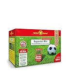 WOLF Garten | Reparatur-Mix Strapazier-Rasen mit Starter-Dünger L 100 LM für 100m²; 3811036