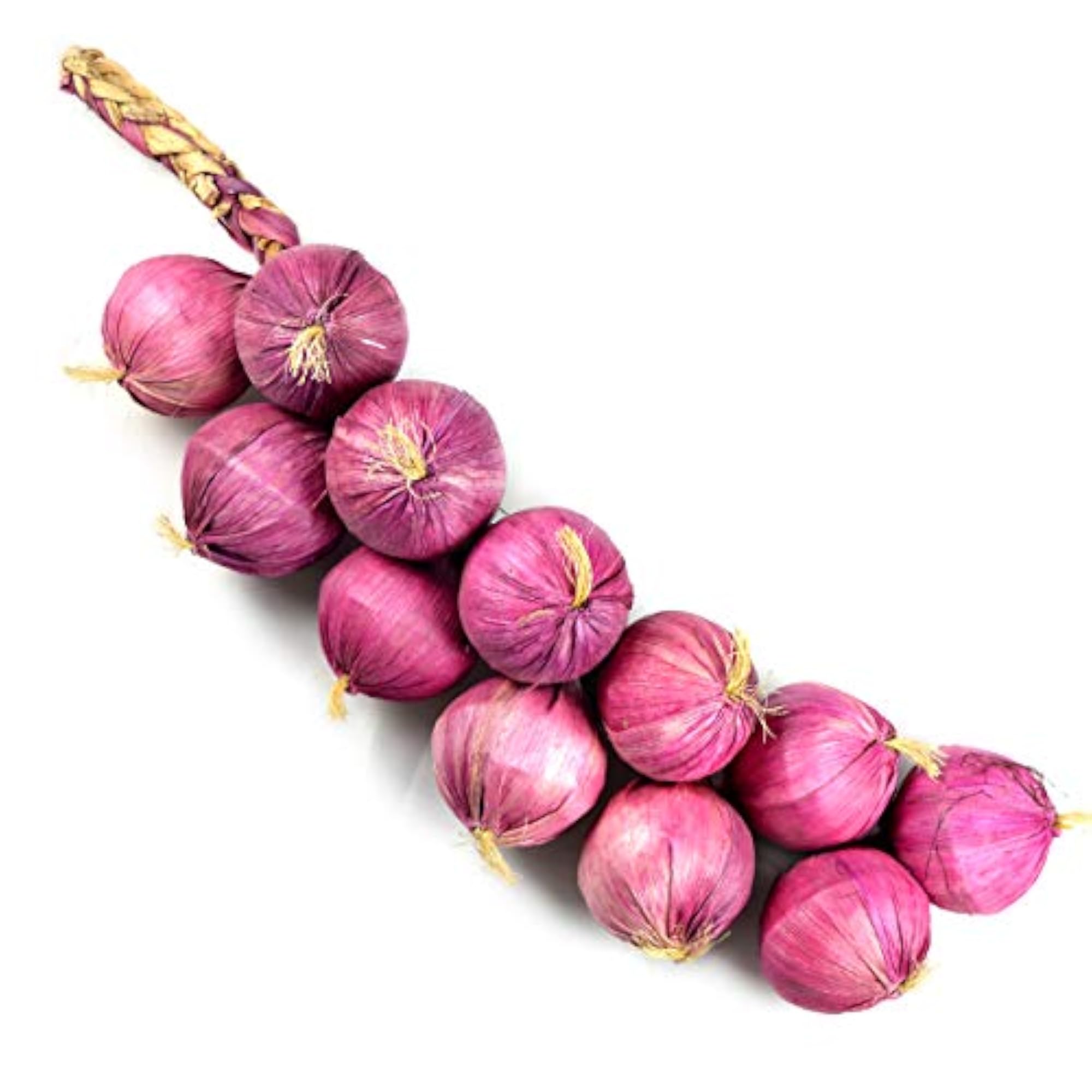 Artificial Onion for Home Decor, Pack of 1