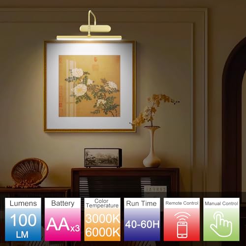 Image of RAIFOOLLY Picture Light,3AA Battery Art Lights for Paintings,Wireless Wall Lighting,Remote Control Accent Light with Timer and Dimmable for Frame,Portrait,Dartboard-Brass