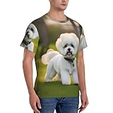 Zoom IMG-1 fgpkjh bichon frise dog on