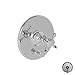 Newport Brass 5-1762BP/14 Balanced Pressure Tub & Shower Diverter Plate With Handle Gun Metal Victoria