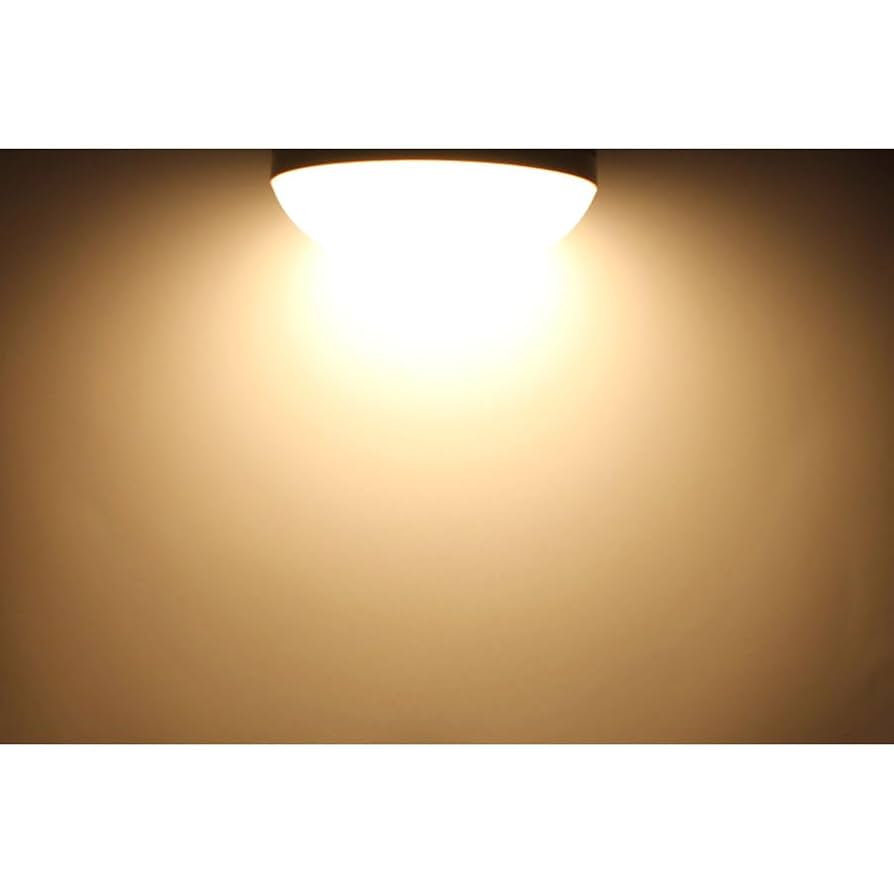 作業用 LED 投光器 500W 型 48W 7400lm TK-48WZ-V 作業用LED投光器（500W型48W）TK-48WZ-V アース＆サージ保護付 2