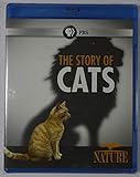 The Story of Cats