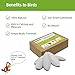 Acsist 12 Pcs Cuttlebone for Birds,Natural Cuttlefish Bone for Parakeets, Cuddle Bones for Sharp Beak, Premium Bird Calcium Stone for Parrots Budgie Cockatiel Snail Tortoise,3.7