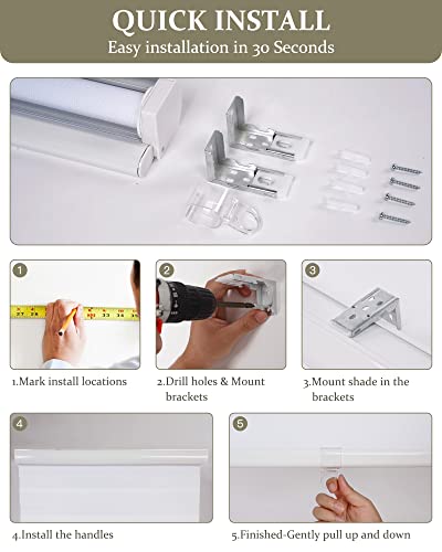 Bliwans Cordless Zebra Blinds,34" W X 72" H,White-Zebra Blinds,59" W X 64" H,White #TOP7