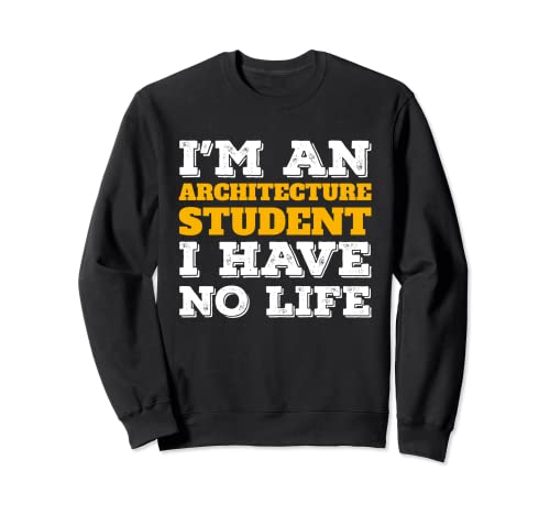 I'm an Architecture Student I've No Life Sudadera