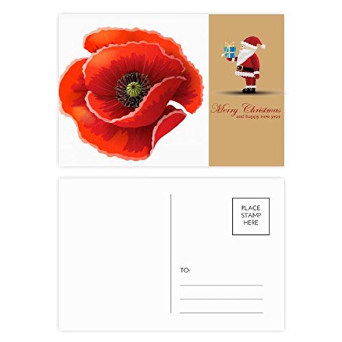 Cartes postales coquelicot et fleurs rouges du Père Noël pour sublimer vos tables de réveillon