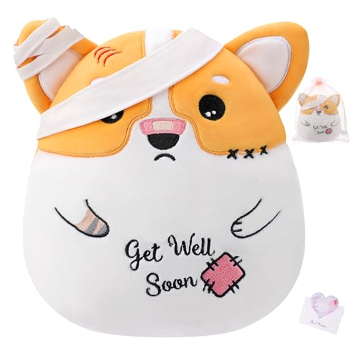 LeYoHa Get Well Soon Dog Plush