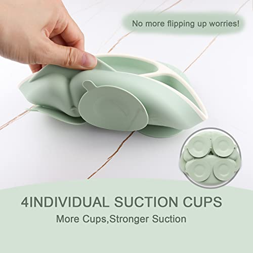 Mengdababy Suction Plate For Baby Toddler, Silicone Grip Dish With 4 Extra Large Suction Cups, Divided Design, Dishwasher And Microwave Safe With Heat Resistence Handles,Bpa Free Green #TOP3