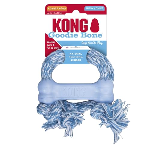KONG – Puppy Goodie Bone mit Seil – Kautschuk zur Zahnungshilfe, Hundespielzeug zur Zahnreinigung (Farbvar.) – Für Sehr Kleine Welpen