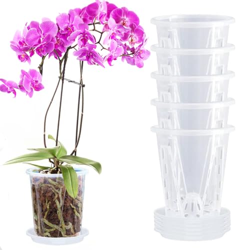 Comparativas de Muebles para orquideas - los mas comprados. 34 XKYQSY - Paquete de 5 macetas de orquídeas de 4.7 pulgadas con platillos y macetas de orquídeas de plástico transparente para remodelar, macetas de orquídeas ranuradas...