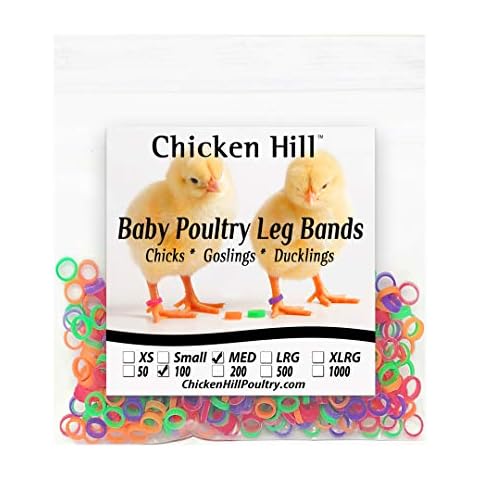 Baby Poultry Leg Bands 1/4" Medium Chick (100) Cover