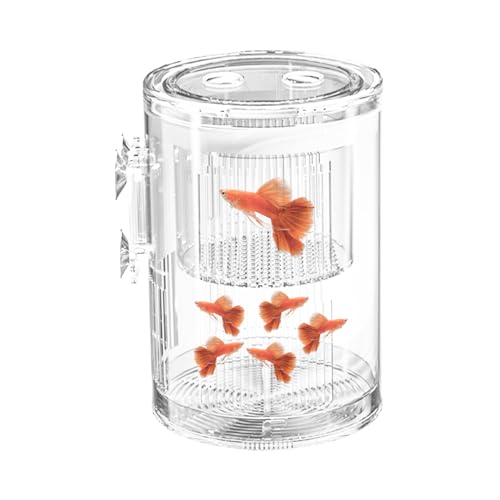 Fish Tank Breeder Box - Fish Separator, Acrylic Transparent Incubator for Isolating, Betta Guppy Tool, Aquatic Hatchery Kit with Suction Cup Base, Habitat Protection Tool for Killifish Shrimp