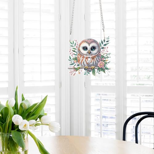 Image of AiYuanzsh Diamond Art Painting Kits Hanging Pendant, Animal Owl Diamond Art Hanging Sign DIY Special Shaped Crystal Pendant Ornaments for Door Wall Window Home Xmas Halloween Decor