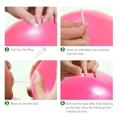 Image of PRANIJ Durable Small Soft Yoga Exercise Balls with Inflatable Straw, Mini Pilates Ball 23 CM /9 Inchs for Core Training Exercise (Pink)