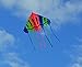 Giant Delta Kite 6 x 7.5 ft Easy Flyer with String and Handle, Classic Delta Kite, Brilliant Colors in The Sky