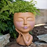 Head Planter - Whimsical Face Planter Pot with Drainage Hole, Plug, and Custom-Sized Plastic Liner f