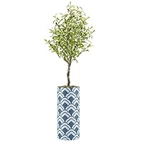 SIGNWIN Olive Tree with Geometric White & Blue Cloud Pattern Abstract Skylines Minimalism Chic Colorful Multicolor Ultra for Living Room, Bedroom, Office - X-Large 5 Feet (60