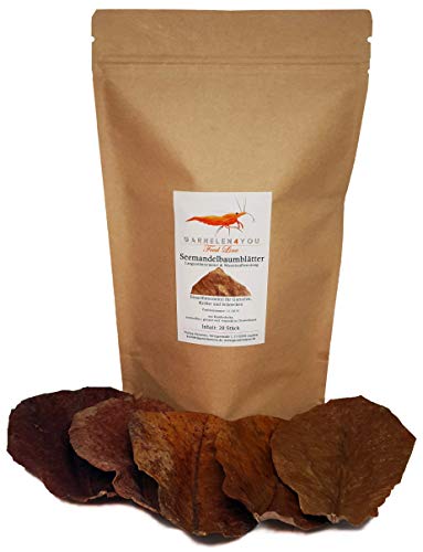 GARNELEN4YOU® Seemandelbaumblätter | Premium Langzeitfuttermittel & Wasseraufbereitung | klimaneutrale Verpackung | wertvolle Inhaltsstoffe für Aquarienbewohner wie Garnelen, Fische, Krebse, Schnecken Cover